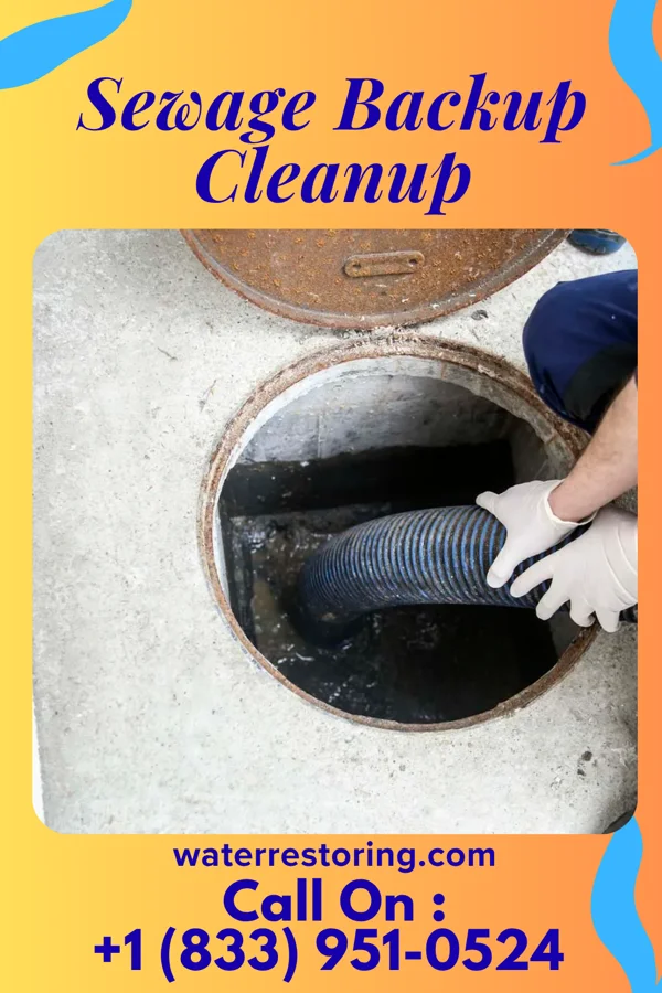Sewage Backup Cleanup in Bullard, TX