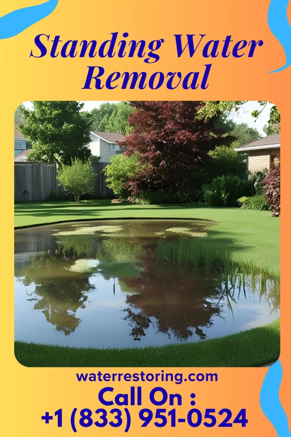 Standing Water Removal in Bullard, TX